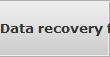 Data recovery for Burley data