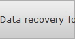 Data recovery for Burley data